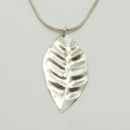 Silver beech leaf